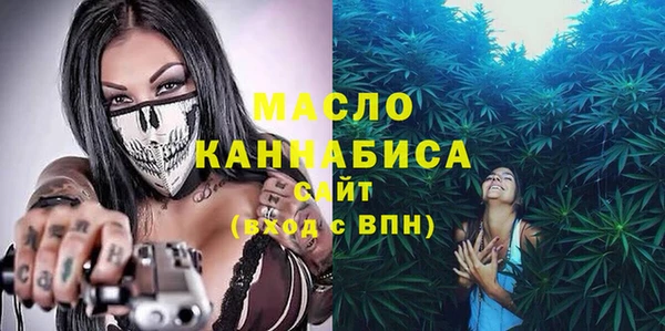 гидра Абаза