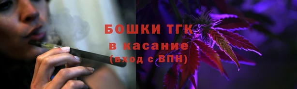 гидра Абаза