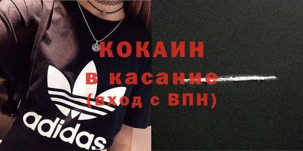 гидра Абаза