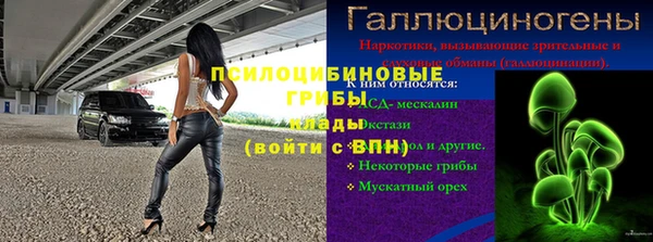 стафф Алексин