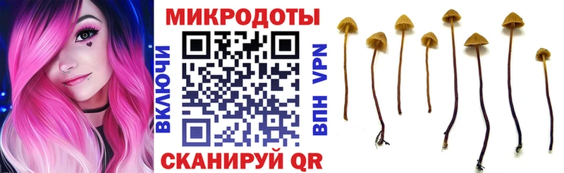 Псилоцибиновые грибы Magic Shrooms  где найти наркотики  Зерноград 
