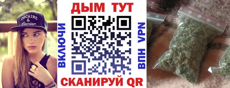 Конопля гибрид  Зерноград 